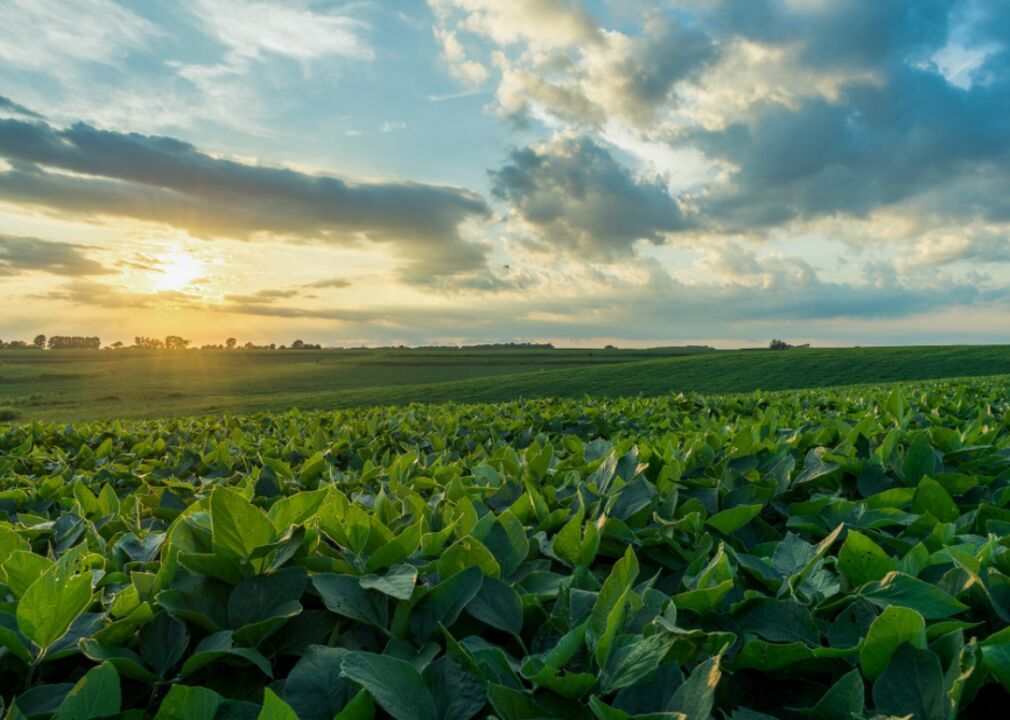 Nebraska: Cuming